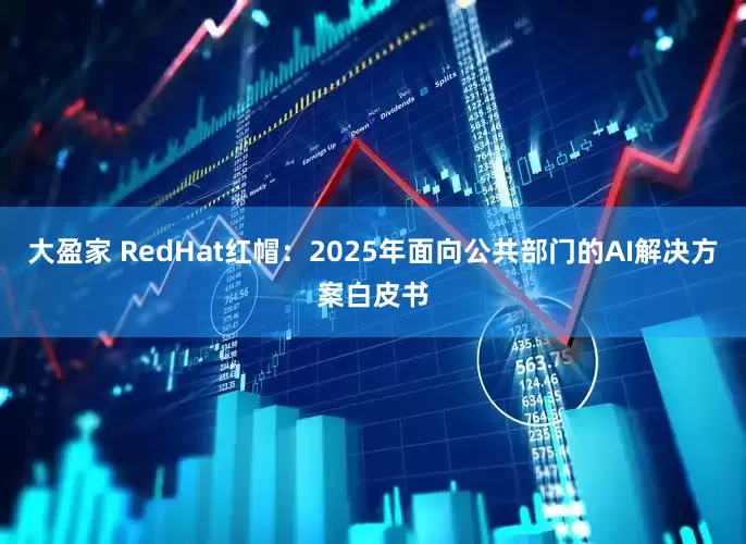 大盈家 RedHat红帽：2025年面向公共部门的AI解决方案白皮书