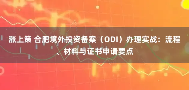 涨上策 合肥境外投资备案（ODI）办理实战：流程、材料与证书申请要点