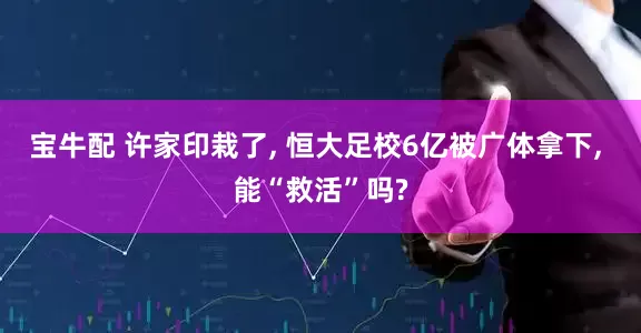 宝牛配 许家印栽了, 恒大足校6亿被广体拿下, 能“救活”吗?